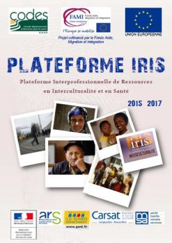 Plateforme IRIS.JPG