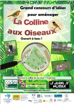 collineauxoiseaux.jpg