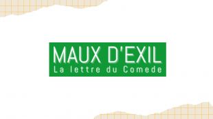 logo maux d'exil.jpg